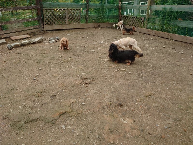 f：id：roukenhome-ann：20200511084130j：plain