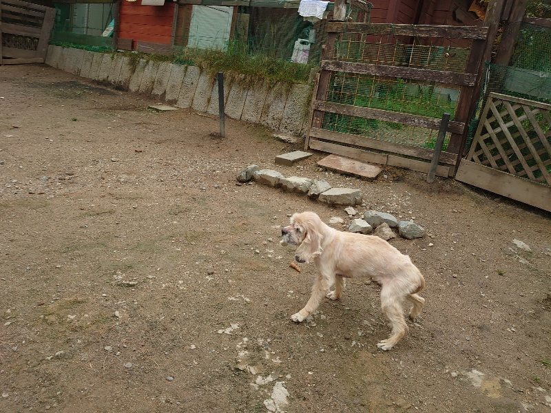 f：id：roukenhome-ann：20200511084333j：plain