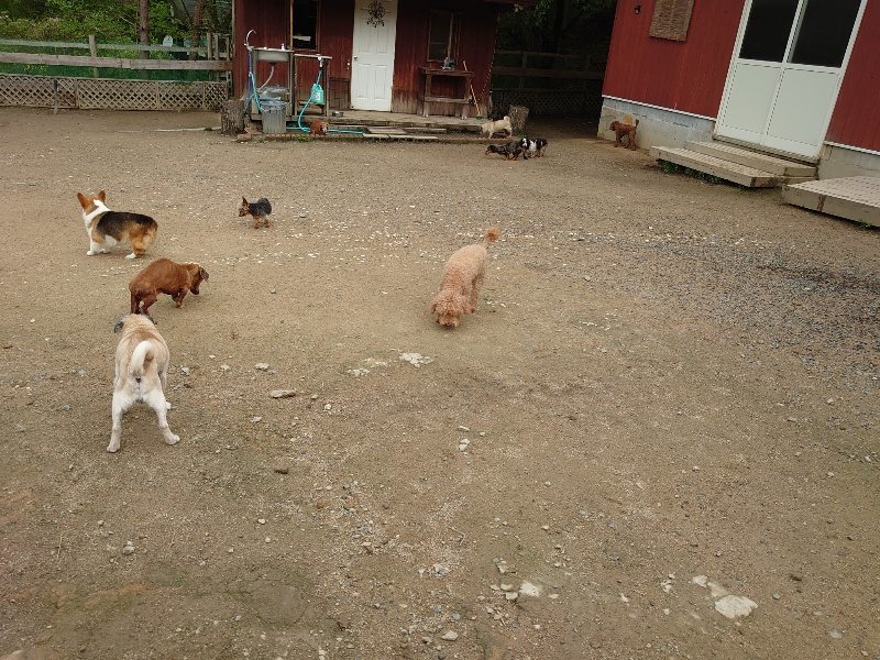 f：id：roukenhome-ann：20200511084353j：plain