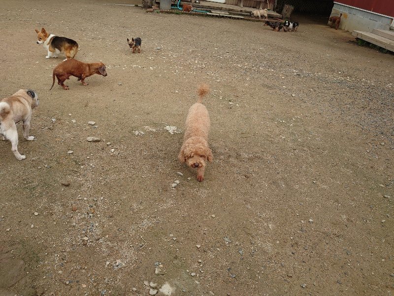 f：id：roukenhome-ann：20200511084359j：plain