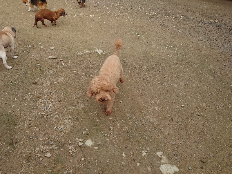 f：id：roukenhome-ann：20200511084404j：plain