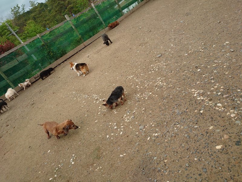 f：id：roukenhome-ann：20200511084503j：plain