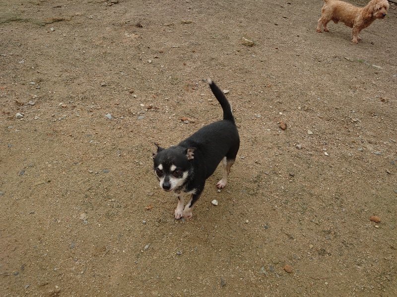 f：id：roukenhome-ann：20200511084546j：plain