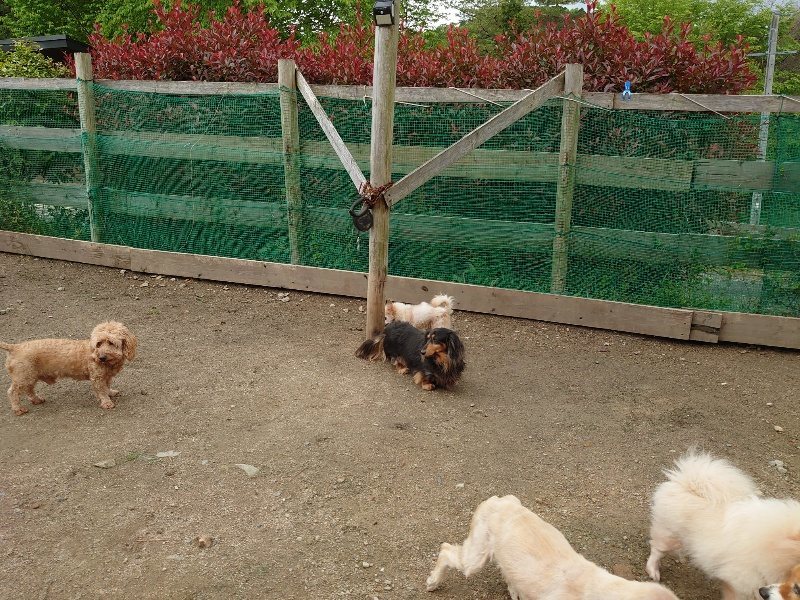 f：id：roukenhome-ann：20200511084621j：plain