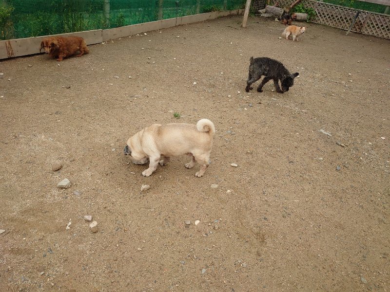 f：id：roukenhome-ann：20200511084632j：plain