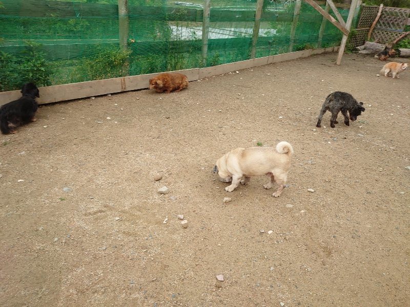 f：id：roukenhome-ann：20200511084638j：plain