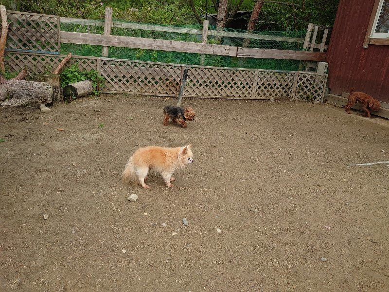 f：id：roukenhome-ann：20200511084746j：plain