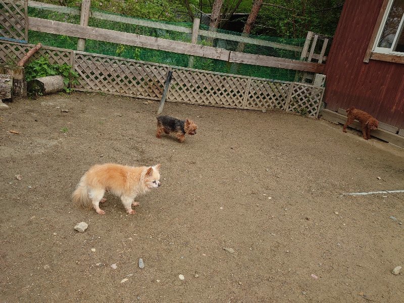 f：id：roukenhome-ann：20200511084757j：plain