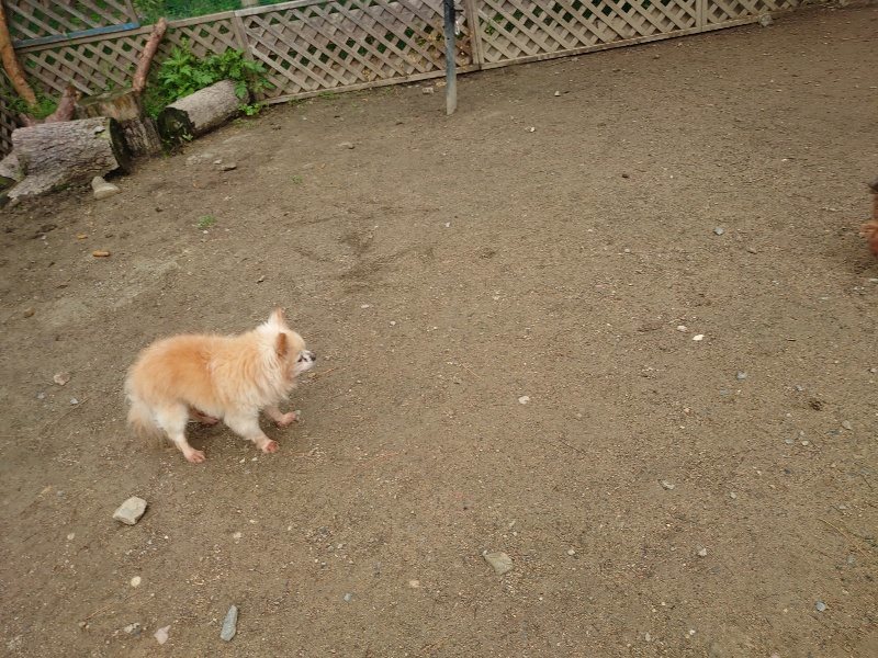 f：id：roukenhome-ann：20200511084813j：plain