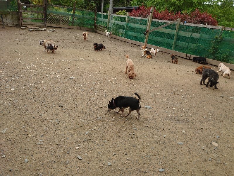f：id：roukenhome-ann：20200511084920j：plain