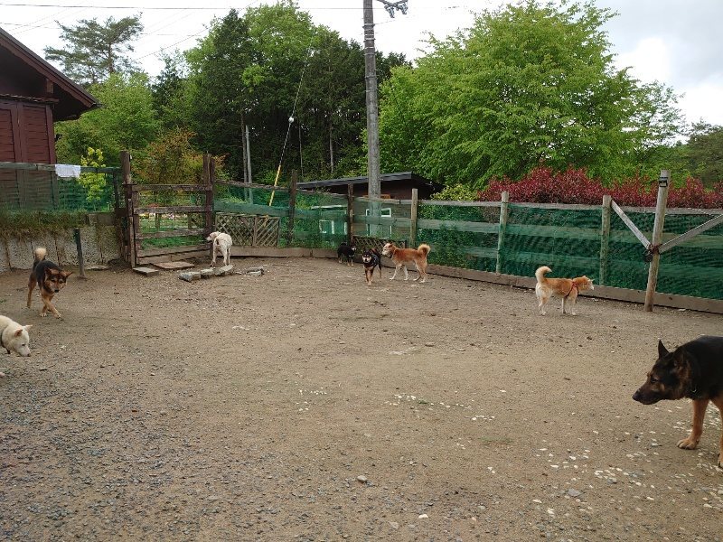 f：id：roukenhome-ann：20200511085001j：plain