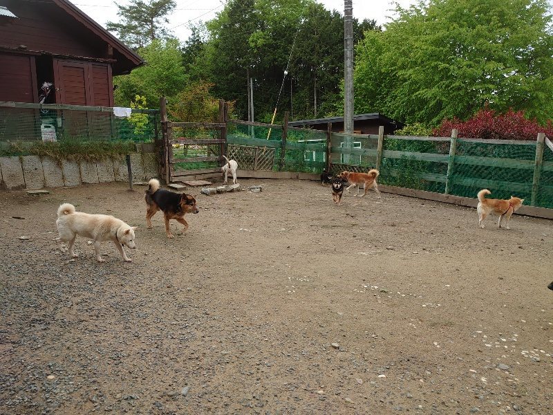 f：id：roukenhome-ann：20200511085006j：plain