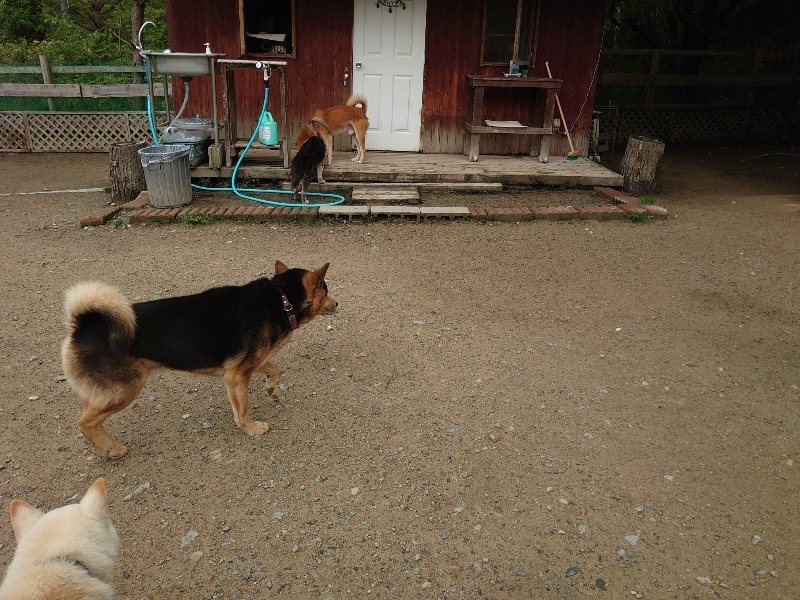 f：id：roukenhome-ann：20200511085127j：plain