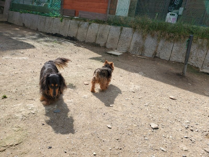 f：id：roukenhome-ann：20200512204656j：plain