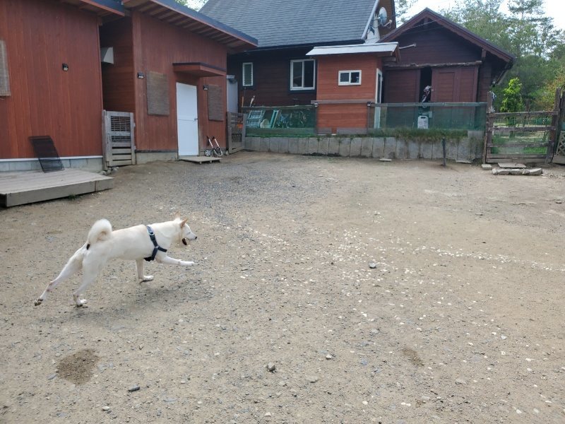 f：id：roukenhome-ann：20200512210004j：plain