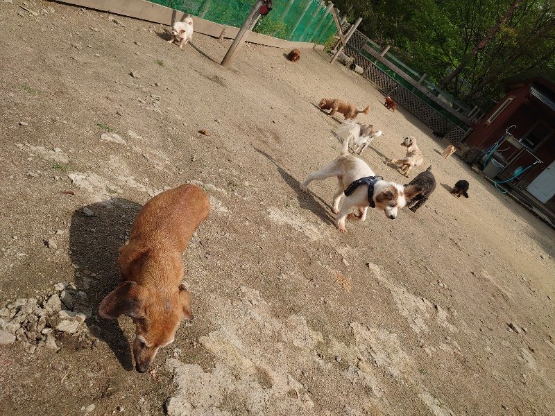 f：id：roukenhome-ann：20200513083006j：plain