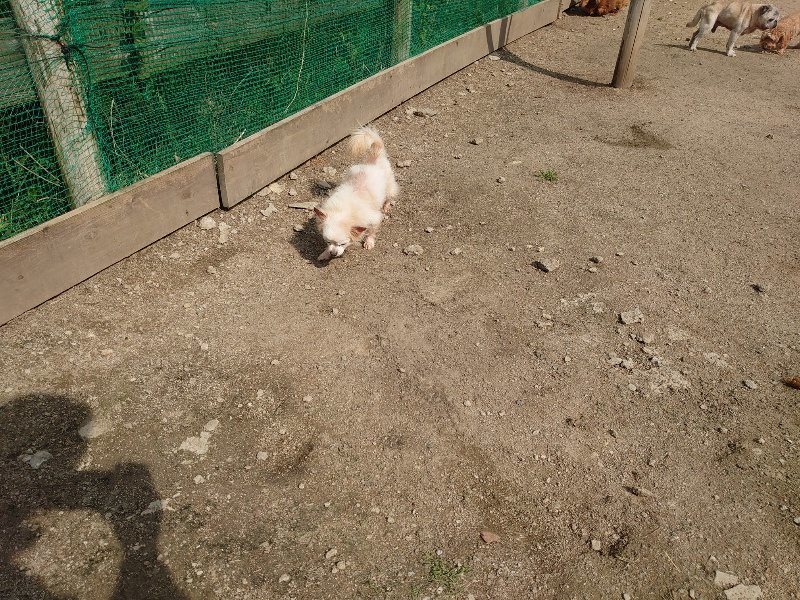 f：id：roukenhome-ann：20200513083104j：plain