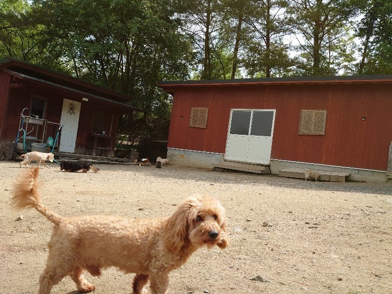 f：id：roukenhome-ann：20200513083216j：plain