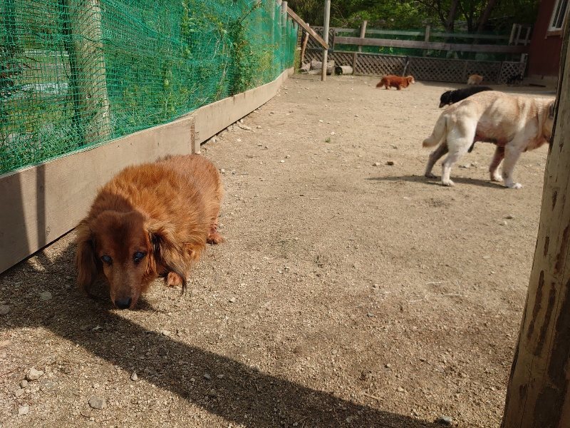 f：id：roukenhome-ann：20200513083226j：plain