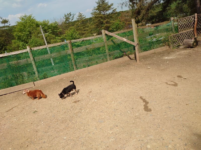 f：id：roukenhome-ann：20200513083733j：plain