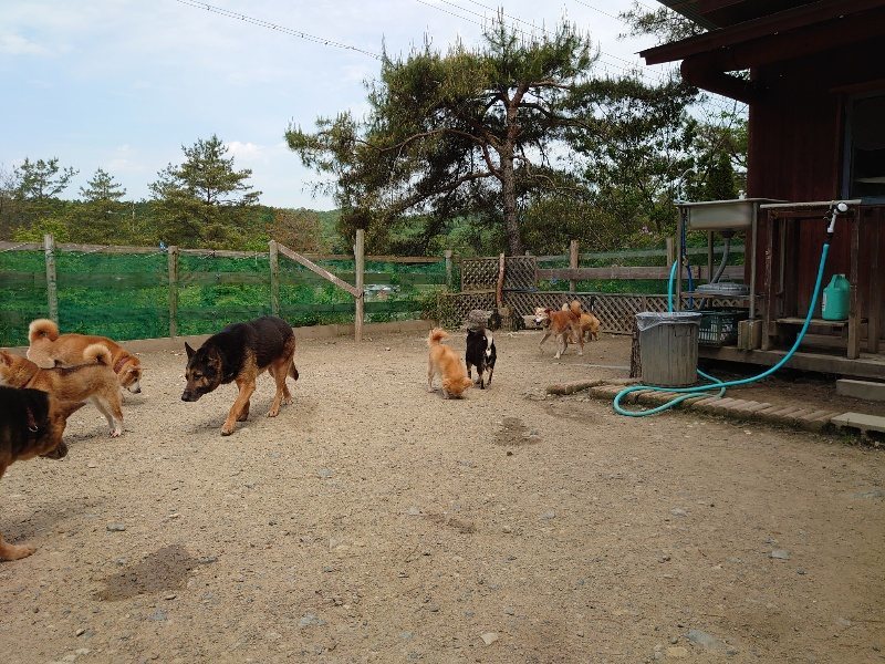 f：id：roukenhome-ann：20200513084014j：plain