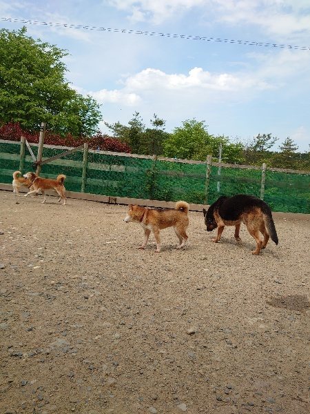 f：id：roukenhome-ann：20200513084054j：plain