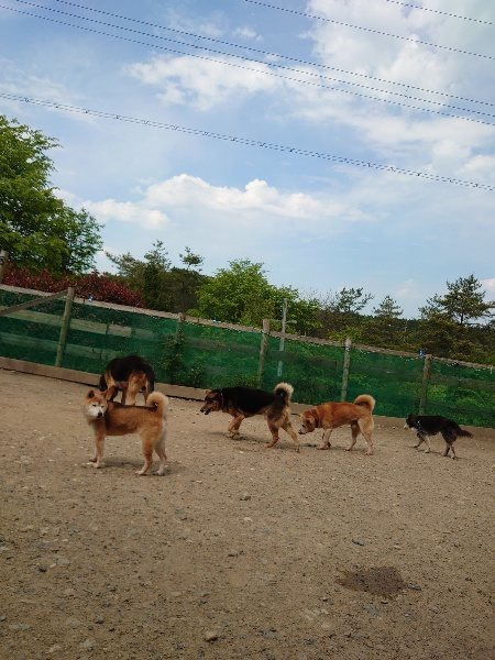 f：id：roukenhome-ann：20200513084118j：plain