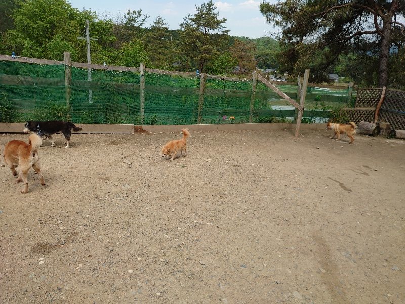 f：id：roukenhome-ann：20200513084128j：plain