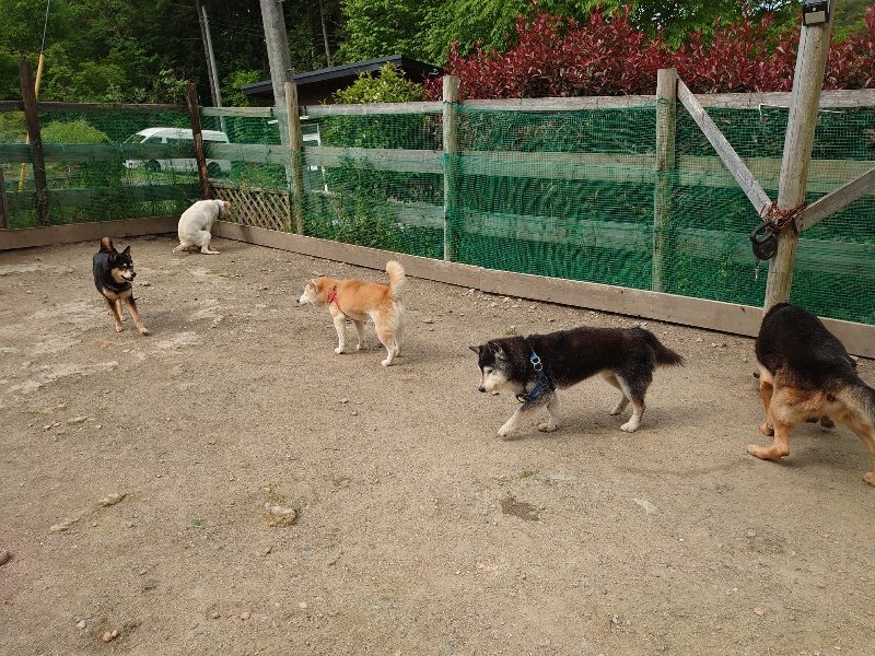 f：id：roukenhome-ann：20200513084254j：plain