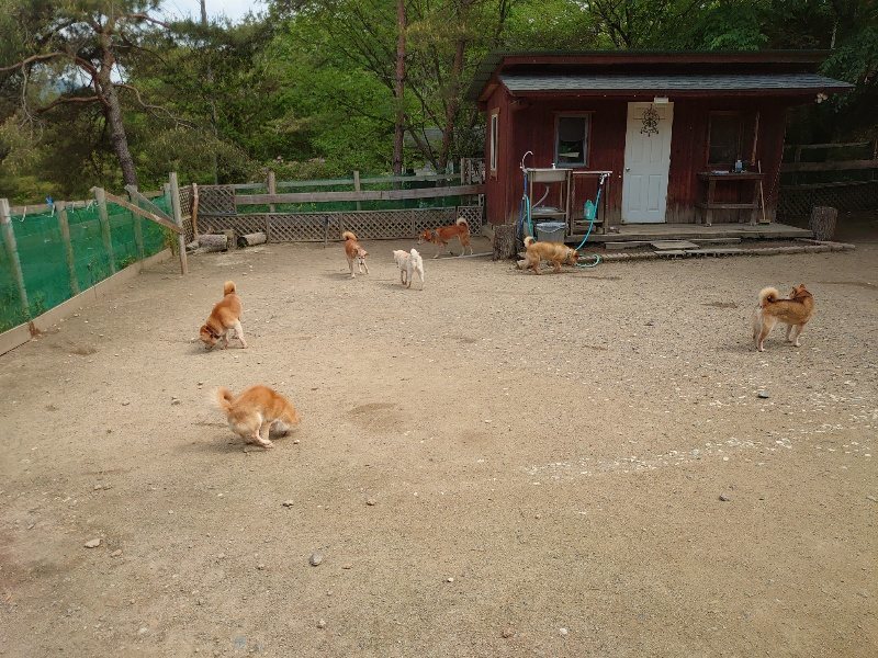 f：id：roukenhome-ann：20200513084412j：plain