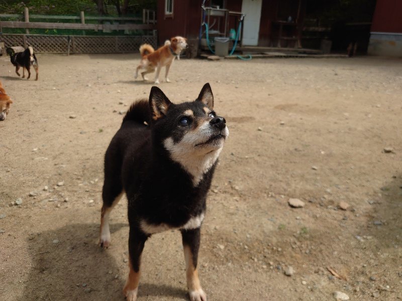 f：id：roukenhome-ann：20200513084544j：plain