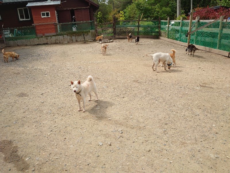 f：id：roukenhome-ann：20200513084705j：plain