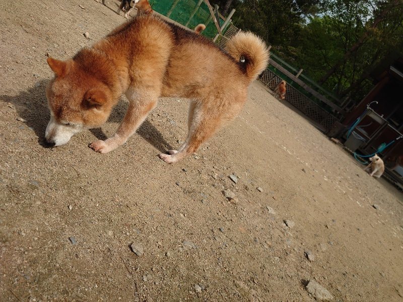 f：id：roukenhome-ann：20200513084828j：plain