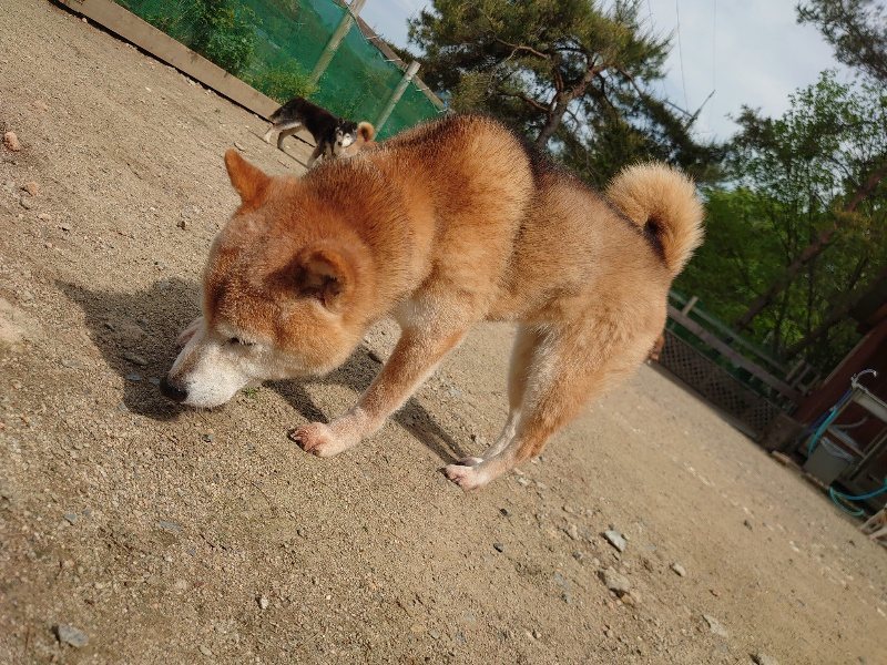 f：id：roukenhome-ann：20200513084840j：plain
