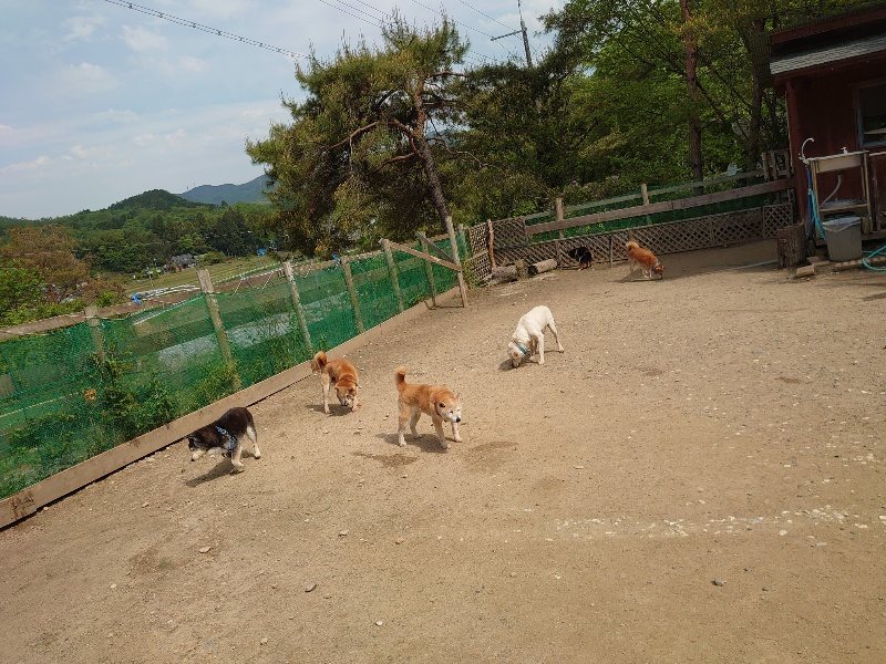 f：id：roukenhome-ann：20200513084845j：plain