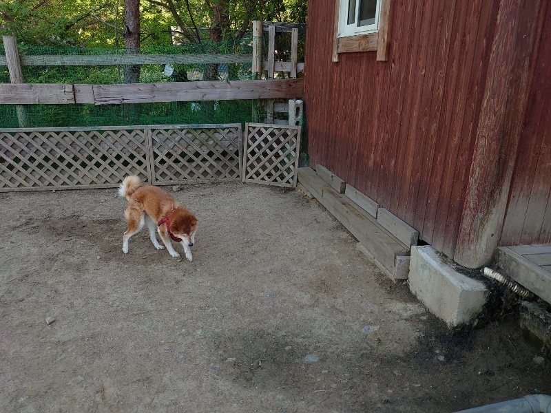f：id：roukenhome-ann：20200515050851j：plain