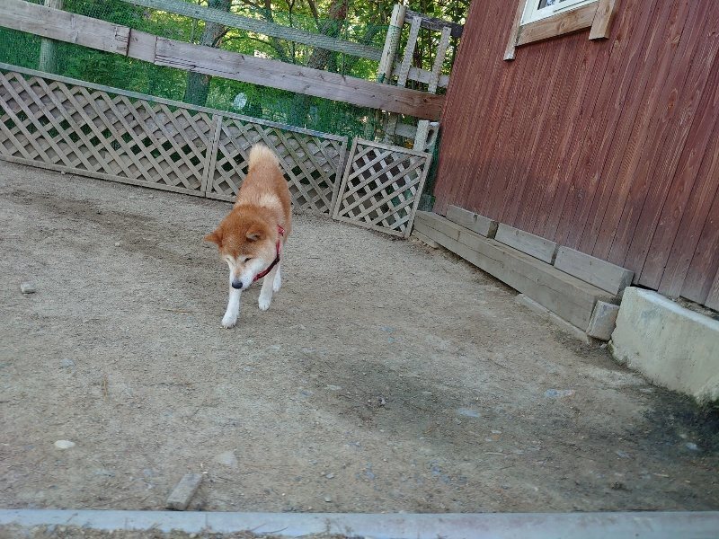 f：id：roukenhome-ann：20200515050906j：plain