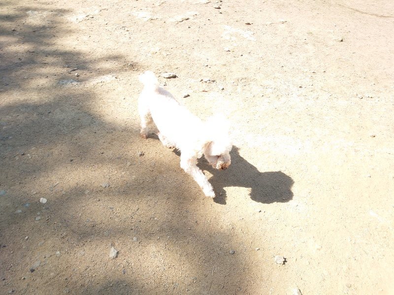f：id：roukenhome-ann：20200515051238j：plain