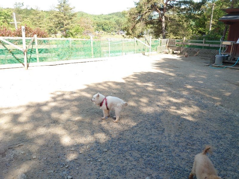 f：id：roukenhome-ann：20200515051406j：plain