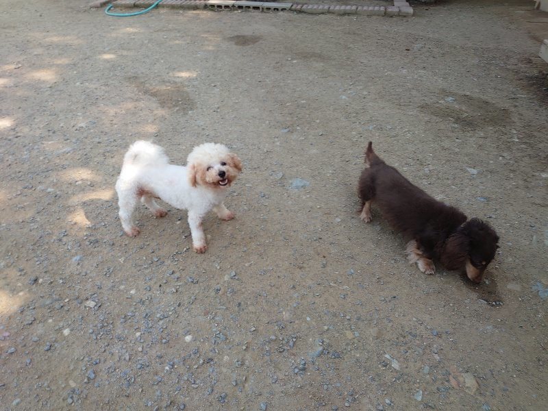 f：id：roukenhome-ann：20200515051445j：plain