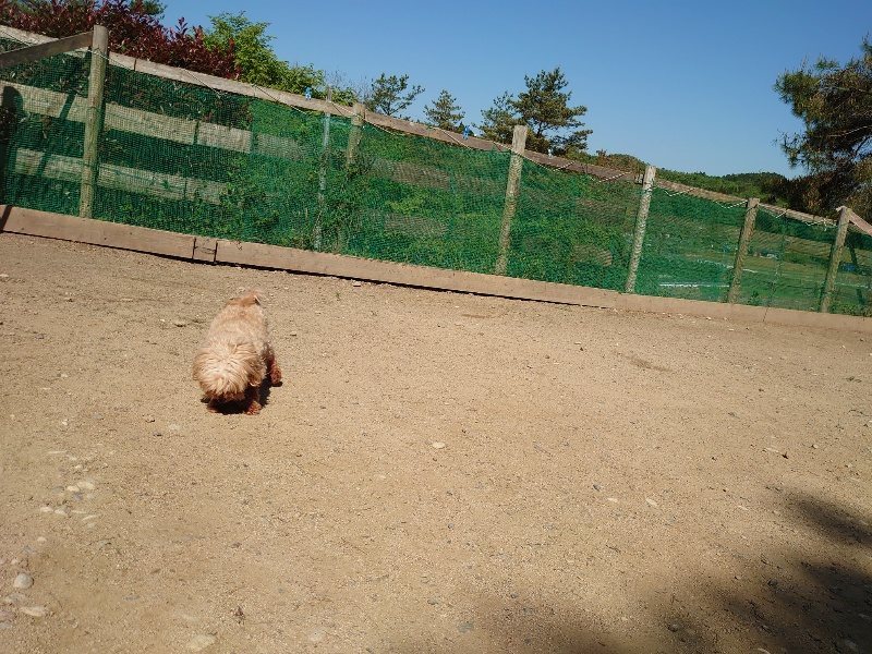 f：id：roukenhome-ann：20200515051921j：plain