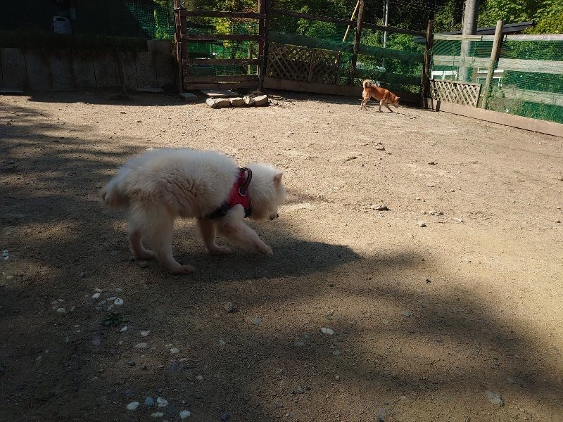 f：id：roukenhome-ann：20200515051940j：plain