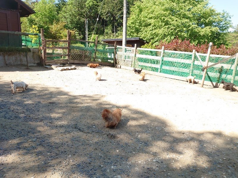 f：id：roukenhome-ann：20200515052205j：plain