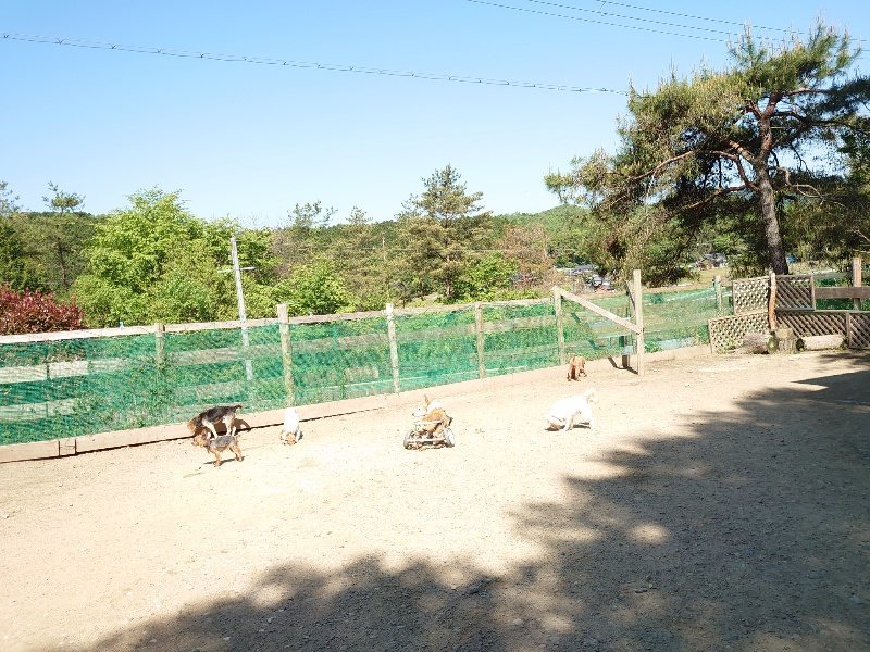 f：id：roukenhome-ann：20200515052214j：plain