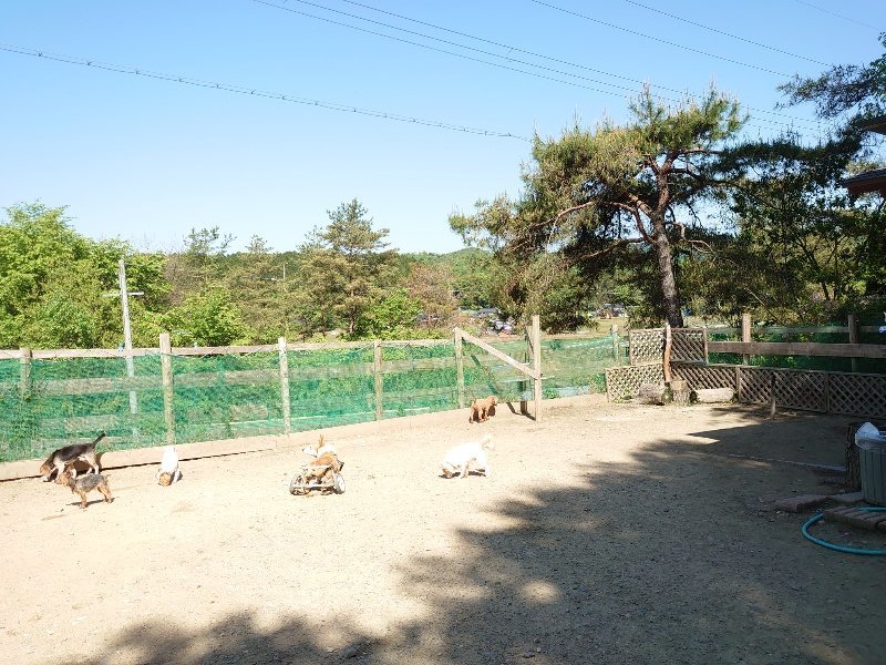 f：id：roukenhome-ann：20200515052244j：plain