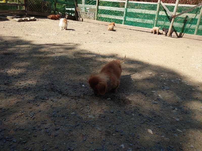 f：id：roukenhome-ann：20200515052305j：plain
