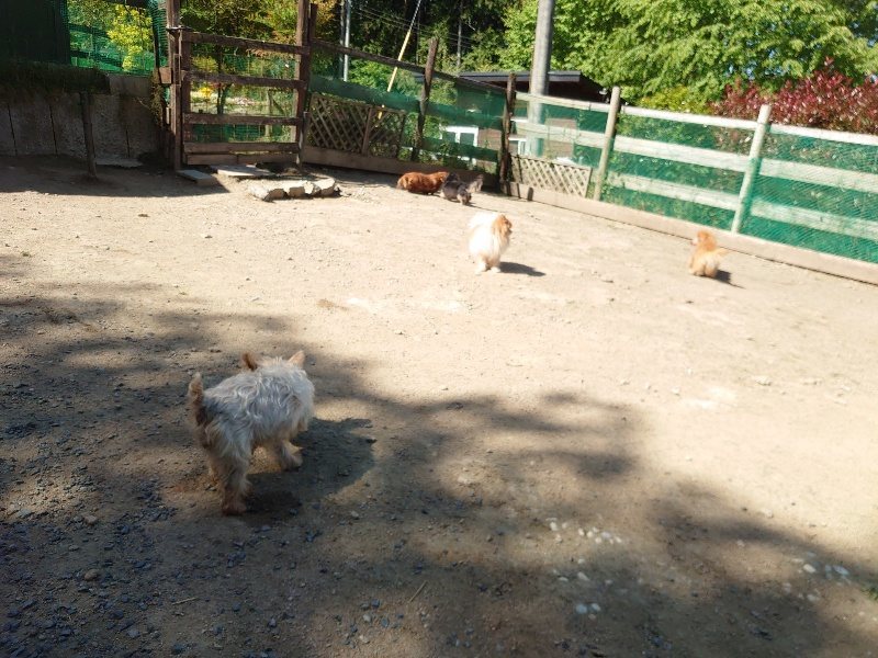 f：id：roukenhome-ann：20200515052343j：plain