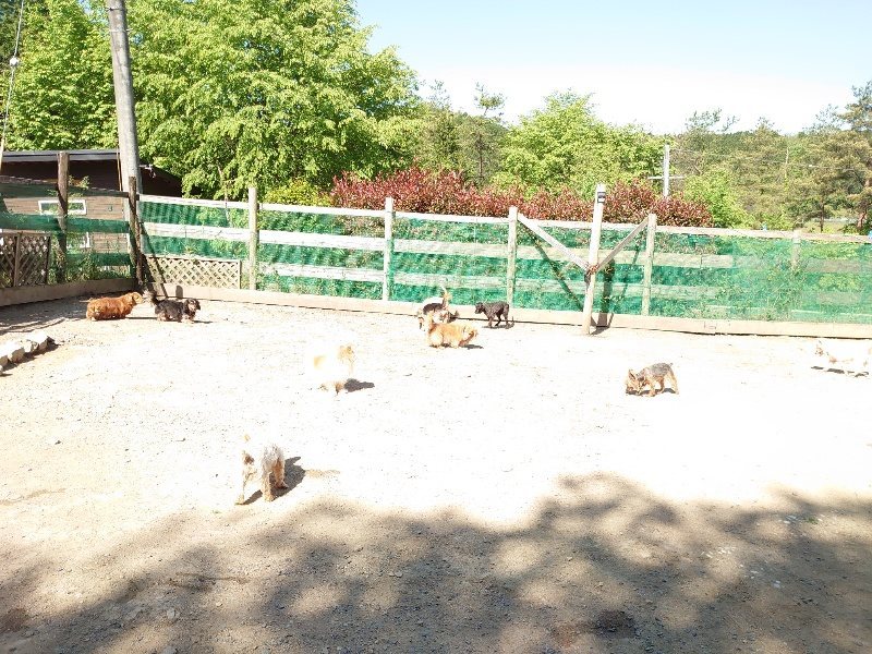 f：id：roukenhome-ann：20200515052427j：plain