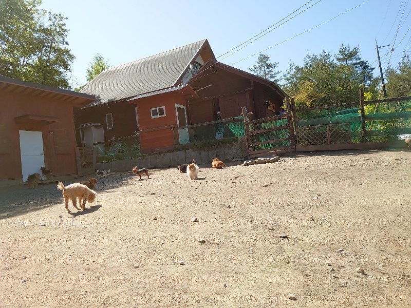 f：id：roukenhome-ann：20200515053031j：plain