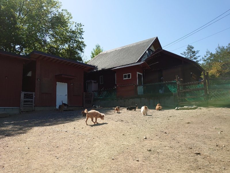 f：id：roukenhome-ann：20200515053037j：plain